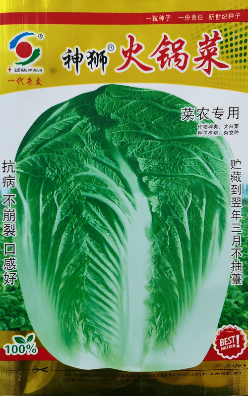 火锅菜——白菜